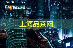 爱上海：参与焦点：在上海的公共话题